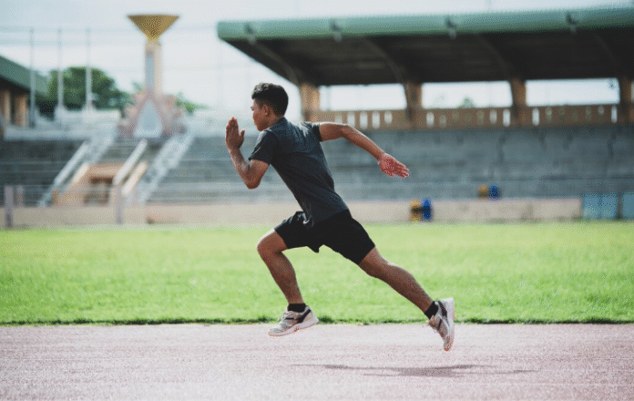 Sports Harmonicode Sports Harmonicode